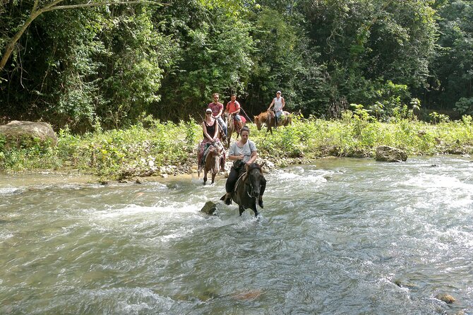 Horseback Riding Across Indigenous Trails Puerto Plata - Health and Safety Restrictions