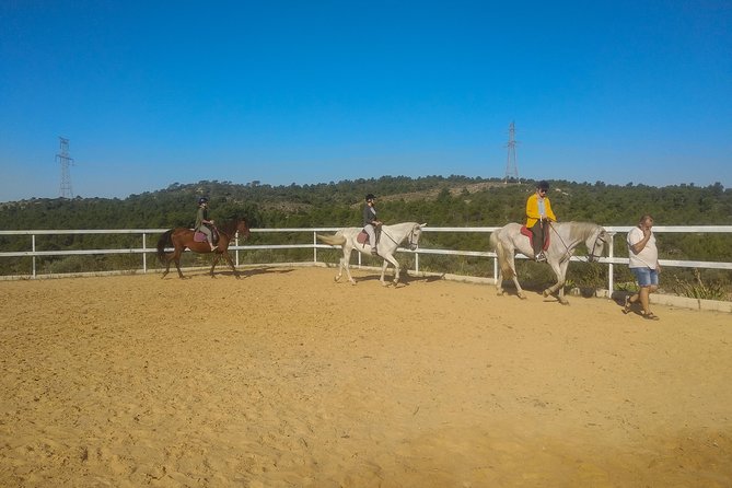 Horseback Riding and Wine Tour - Transportation and Access