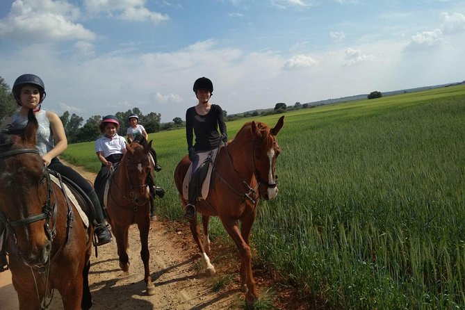 Horseback Riding Around Doñana - Transportation Options