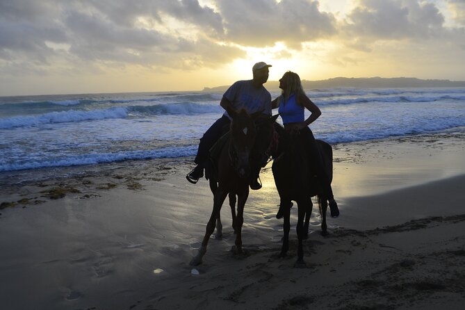 Horseback Riding at Sunrise on the Beach of Punta Cana - Pricing and Booking