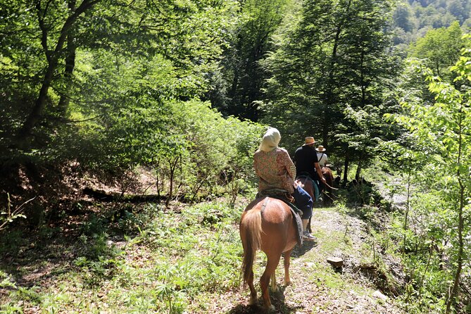 Horseback Riding in Azerbaijan - Booking and Confirmation Process