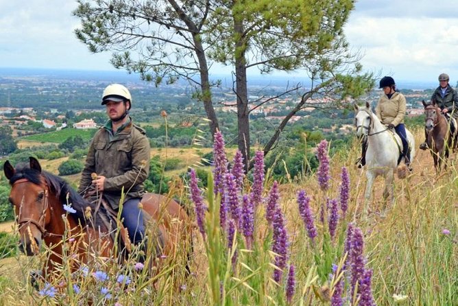 Horseback Riding In Lisbon - Arrábida - Louro Trail Mountain 5 - 6 Hours - Meeting Point and Pickup