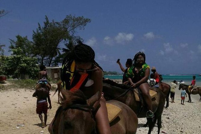 Horseback Riding & Swim in the Ocean, Bluehole Falls [Ocho Rios ] - Operator Information