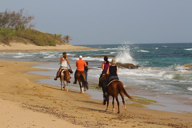 Horseback Riding Through Secluded Beaches and Tropical Forests - Highly Rated Tour