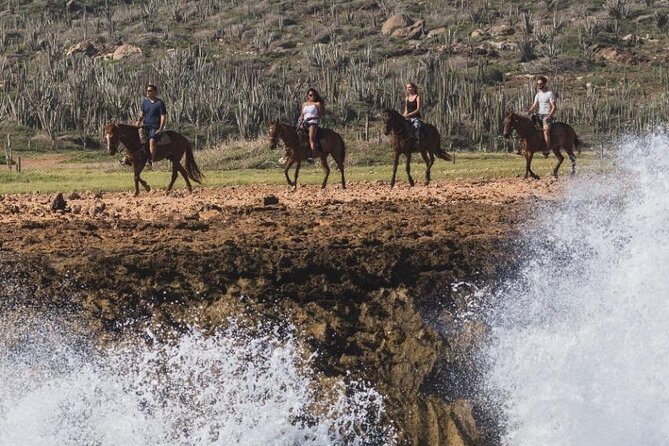 Horseback Riding Wariruri Beach Tour in Aruba - Pickup and Meeting Information