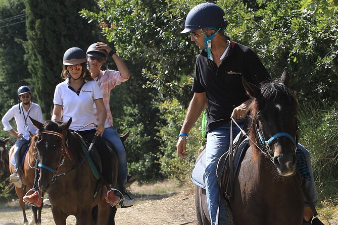 Horseback Riding With Wine Tour From Florence - Winery and Olive Oil Tasting