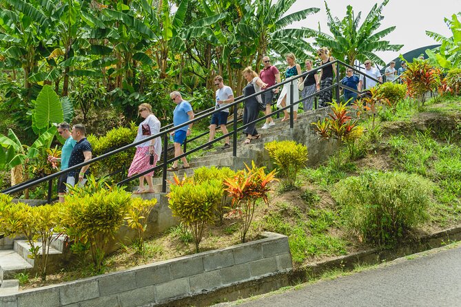 Hotel Chocolat: From Tree to Bar Tour With Tasting in St. Lucia - Hands-on Chocolate-Making Workshop