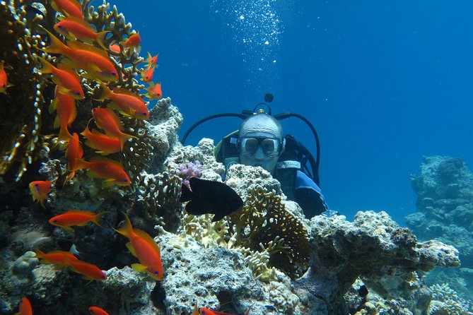 Hurghada Daily Scuba Dive Trip - Cuisine and Dining Experience