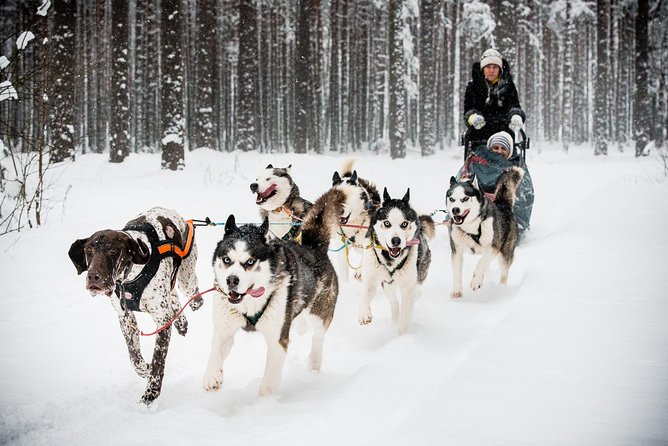 Husky Dog Sledding Tour From Riga - Tour Inclusions and Exclusions