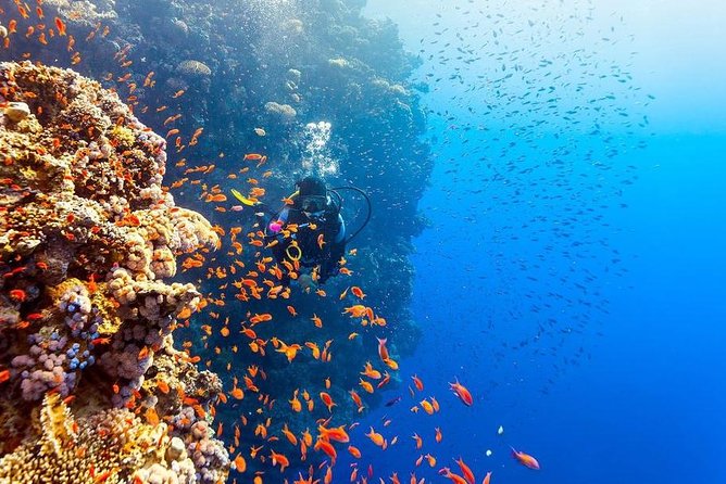 Intro Scuba Diving Beginners Full Day Boat Trip 2 Stops Diving & Lunch– Hurghada - Additional Information and Considerations