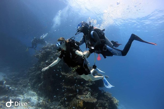 Intro Scuba Diving Experience in Hurghada - Detailed Itinerary