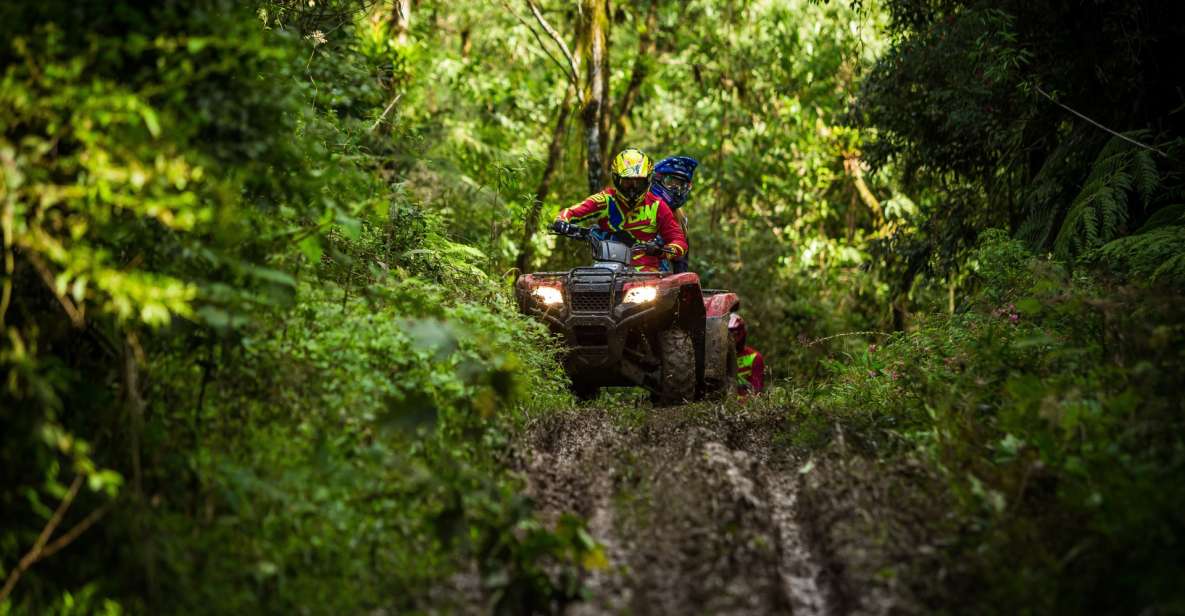 Istanbul: Belgrad Forest ATV Tour With Ziplining Option - Transportation Arrangements