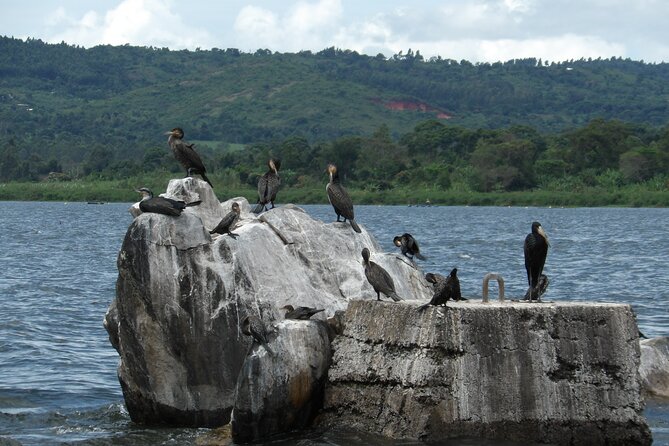 Jinja Tour & Source of River Nile - Booking and Cancellation