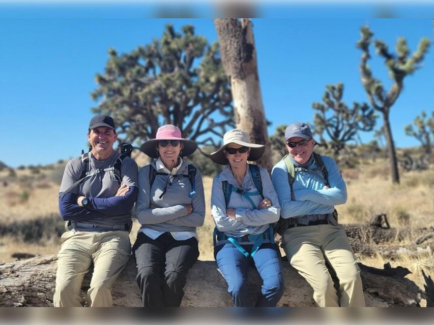 Joshua Tree: Half-Day Private Hike of the National Park - Discovering the Parks Unique Flora