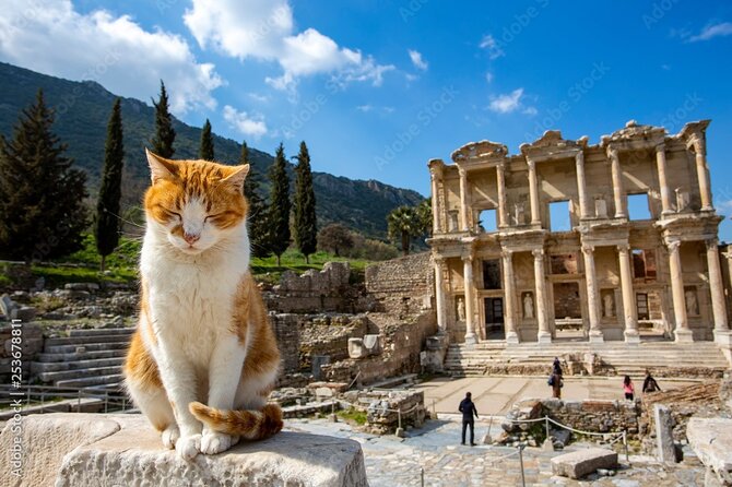 Journey to Ancient Wonders: Explore Ephesus With a Private Tour - Confirmation and Cancellation