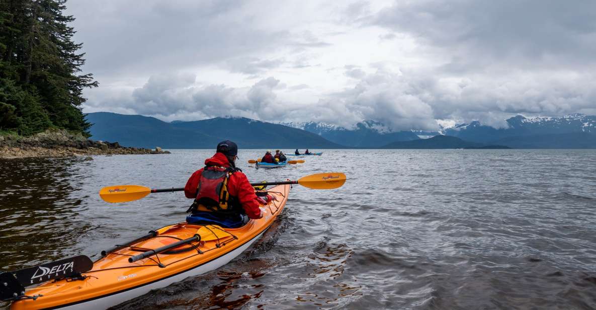 Juneau: Channel Islands Whale Watching Kayak Adventure - Sighting Diverse Marine Life