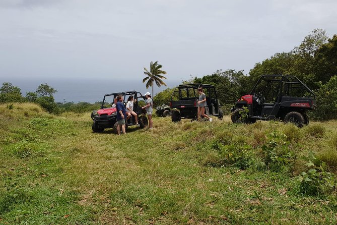 Jungle Bikes Dune Buggy & Beach Tours in St Kitts - Tour Inclusions and Amenities