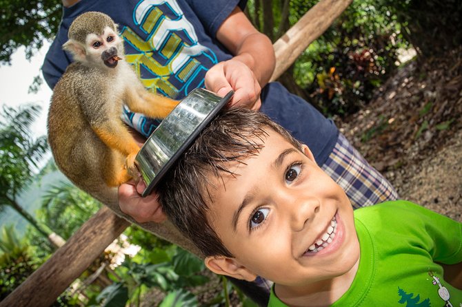 Jungle Buggies and Monkeyland From Punta Cana - Interaction With Squirrel Monkeys