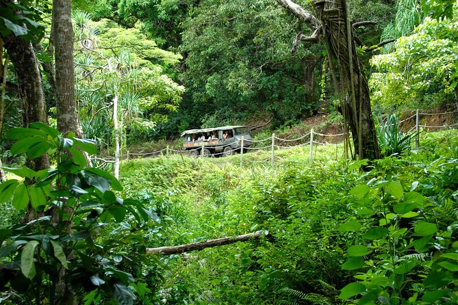 Jungle Expedition Tour at Kualoa Ranch - Age and Accessibility