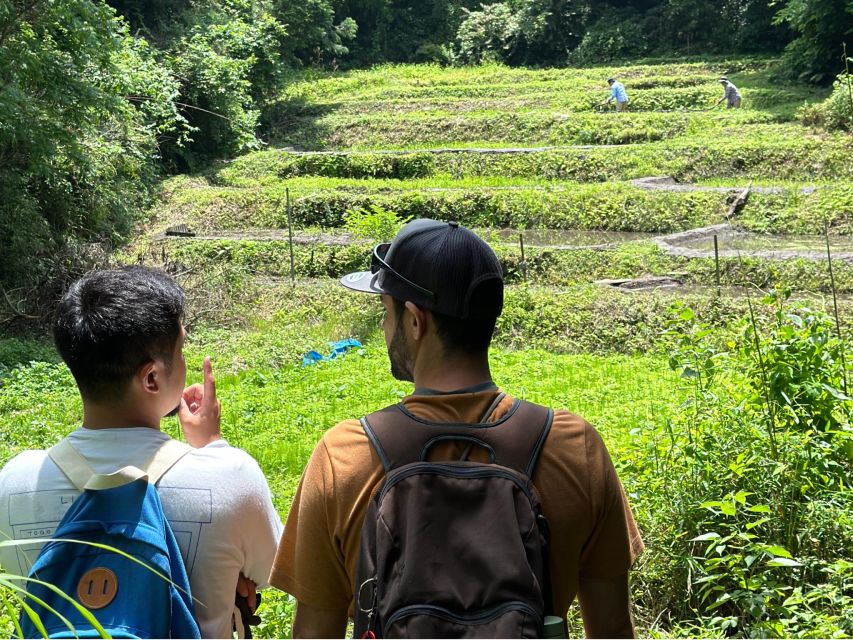 Kamakura Hidden Hike - Tour Features