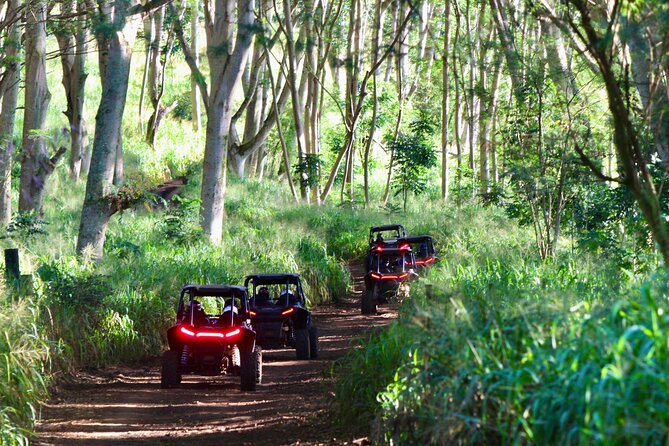 Kauai ATV Backroads Adventure Tour - Fishing Opportunity