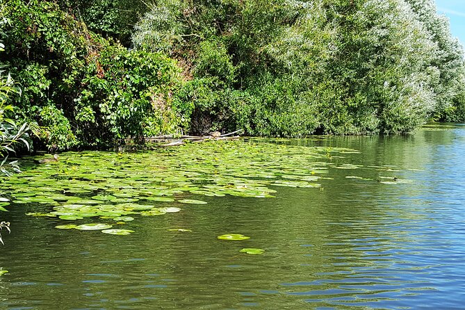 Kayak or SUP Tour on the Water Through Saarbrücken - Amenities and Facilities