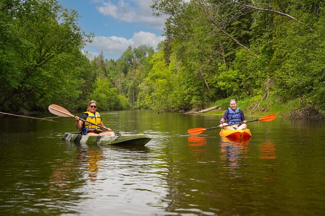 Kayak & Summit Tour - Ottawa Day Trip - Reviews