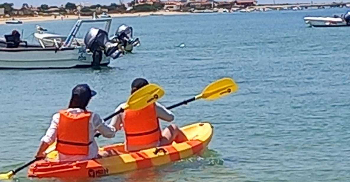 Kayak Tour in Ria Formosa - Olhão - Experience Highlights