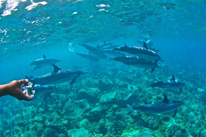 Kealakekua Bay Snorkeling Tour - 4 Hour Kona Zodiac Adventure - Island History and Legends