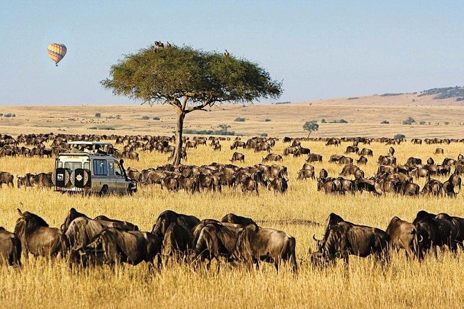 Keekorok Lodge 3 Days, 2 Nights Maasai Mara Offer - Pickup and Meeting Info