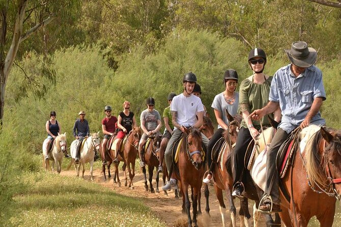 Kemer Horse Safari Experience With Free Hotel Transfer - What to Bring