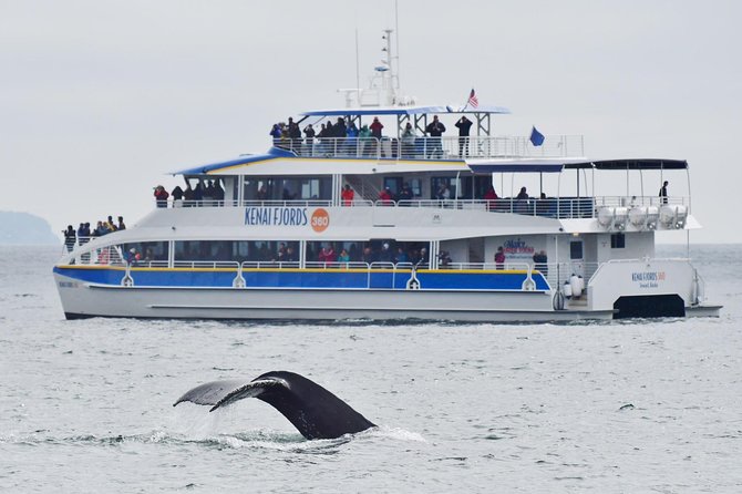 Kenai Fjords National Park Glacier & Wildlife Cruise - Cruise Route and Duration