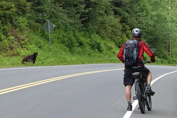 Ketchikan Electric Bike and Rain Forest Hike Ecotour - Electric Bike Ride