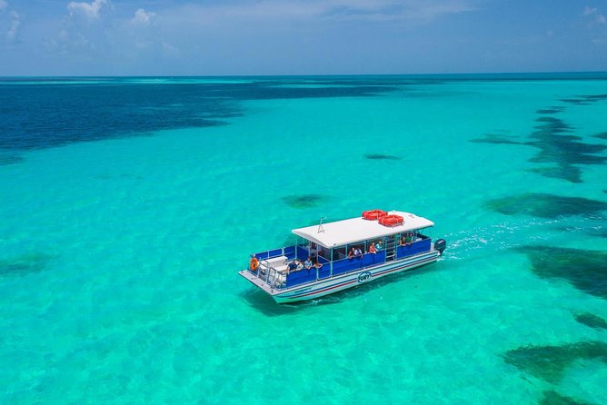 Key West Dolphin Watch and Snorkel Cruise - Accessibility and Requirements