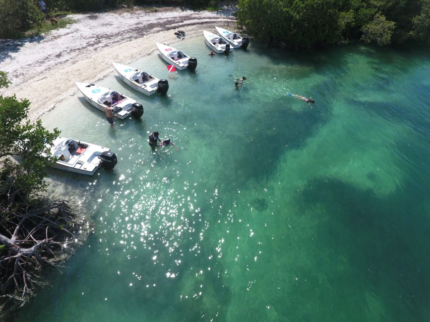 Key West: Eco Safari Sandbar Tour With Snorkeling - Snorkeling Among the Mangroves