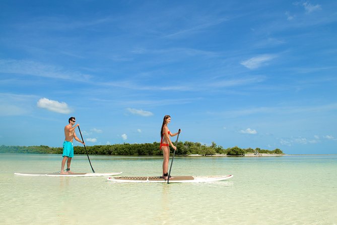 Key West Island Adventure: Kayak, Snorkel, Paddleboard - Tour Name and Location