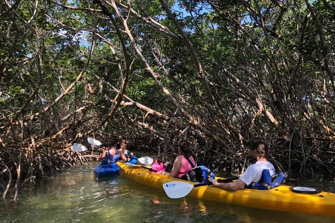 Key West Mangrove Kayak Eco Tour - Tour Logistics and Accessibility