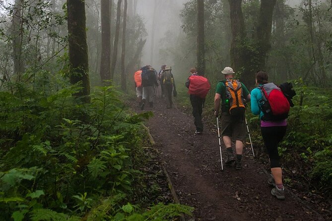 Kilimanjaro 1 Day Hike - Pricing and Cancellation Policy