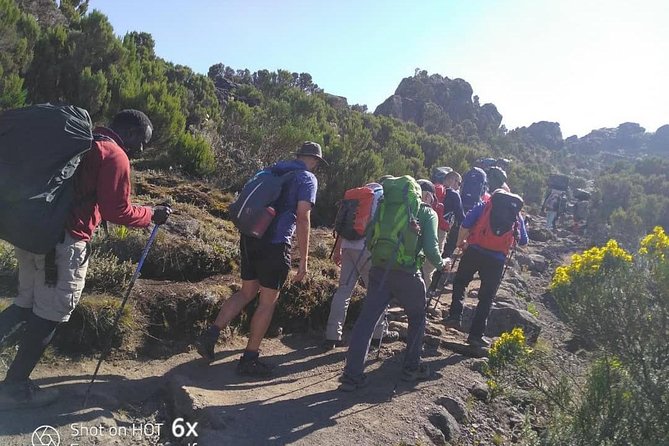 Kilimanjaro Climb- Lemosho Route - Booking and Cancellation Policy