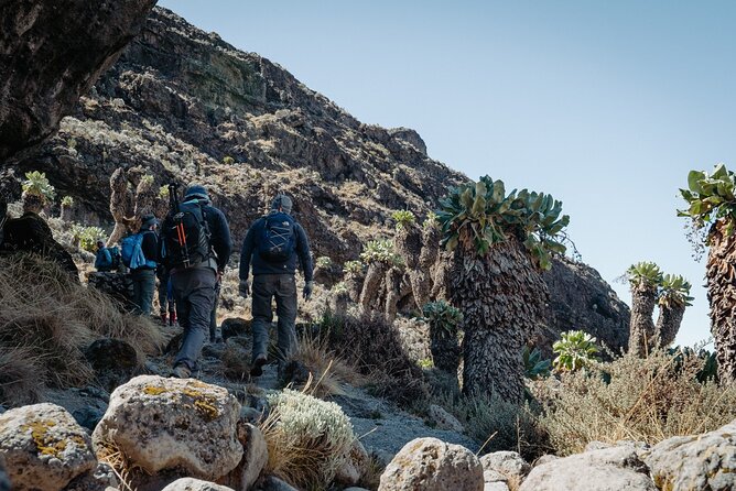 Kilimanjaro Climb, Machame Route (7-Day) - Kilimanjaro National Park Fees