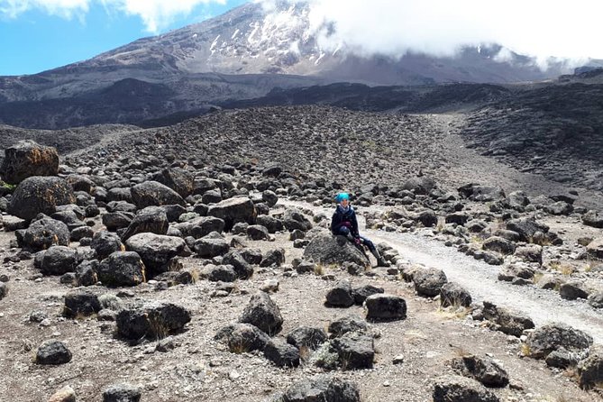 Kilimanjaro Marangu View Trek : 5 Days Itinerary and Package - Transportation and Logistics