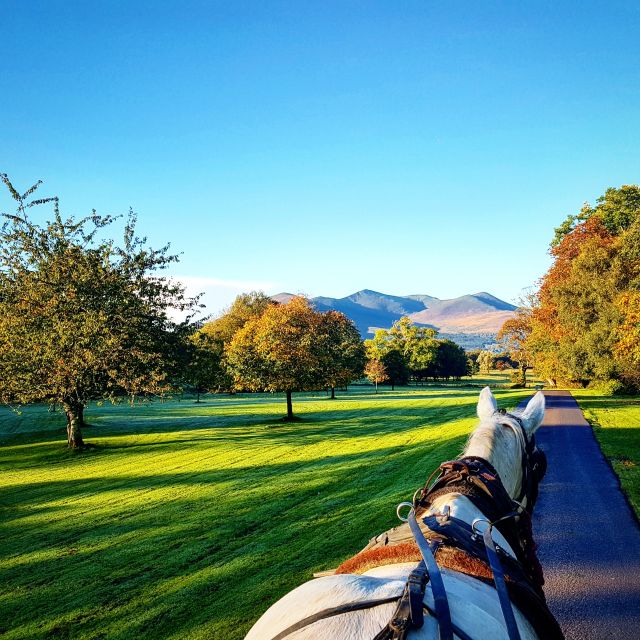 Killarney on Horse & Carriage: 1-Hour Jaunting Car Tour - Inclusions and Exclusions