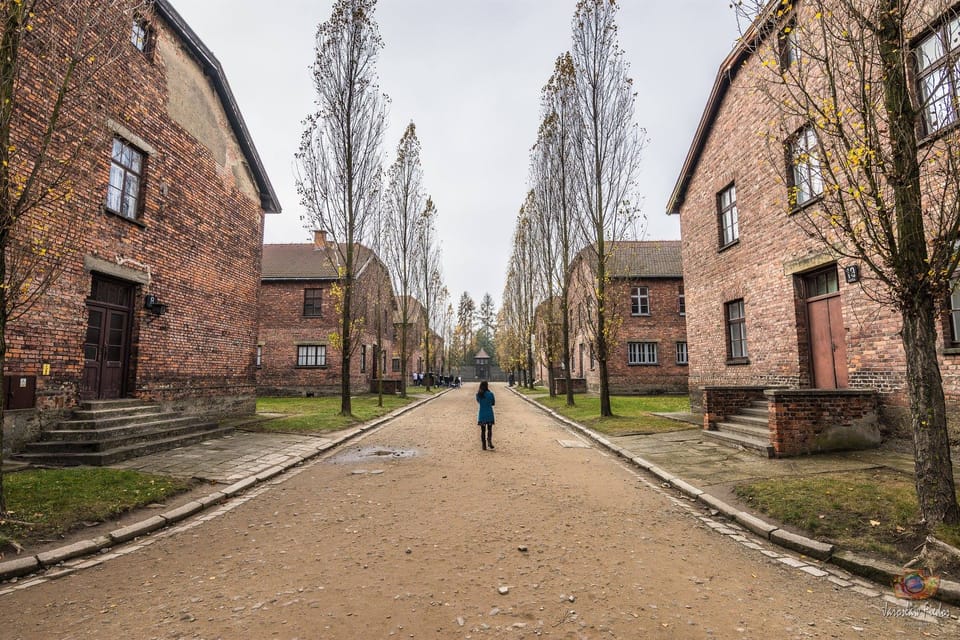 Krakow: Auschwitz-Birkenau Extended Guided Tour & Options - Inclusions and Exclusions