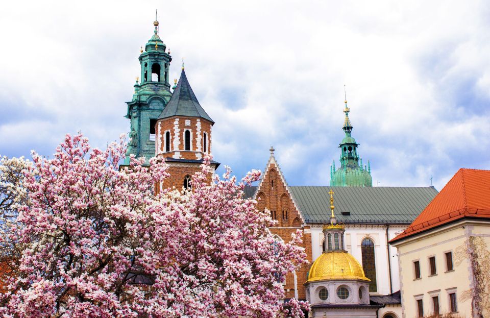 Krakow: Private Architecture Tour With a Local Expert - Experience Highlights