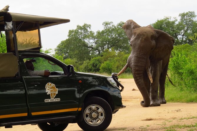 Kruger National Park Afternoon Private Safari - Accessibility and Participation