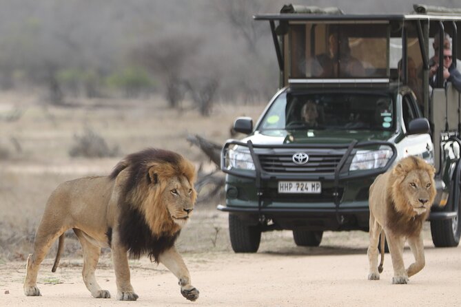 Kruger National Park Full Day Private Safari - Pickup and Meeting