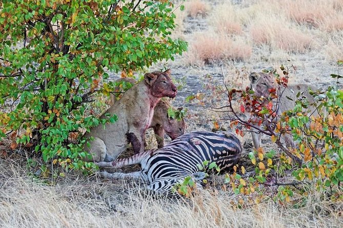 Kruger National Park Full Day Tour Minimum 2people - Weather and Accessibility