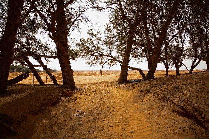 Ksar Ghilane 1 Day: the Hot Spring and the Homestay - Inclusions and Exclusions of the Tour