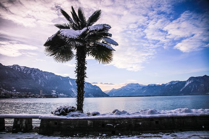 (Ktg303) - Winter Montreux, Chillon & Chaplins World From Geneva - Transportation and Accessibility