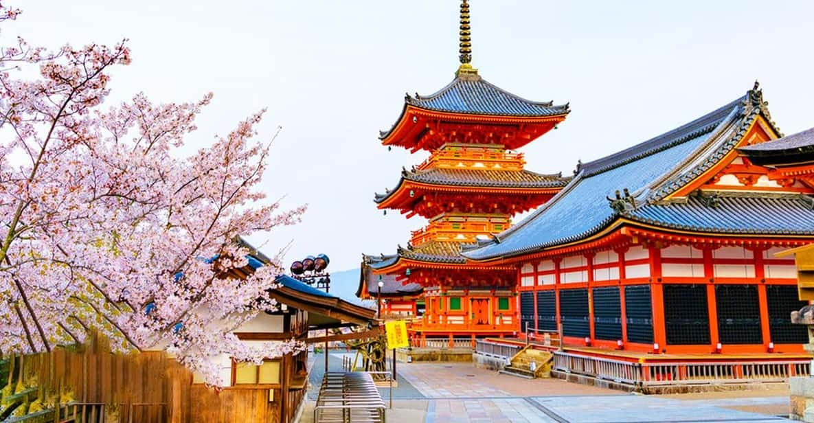 Kyoto and Nara Day Tour With Kiyomizu-Dera,Nara Park&Temple - Cultural Experiences